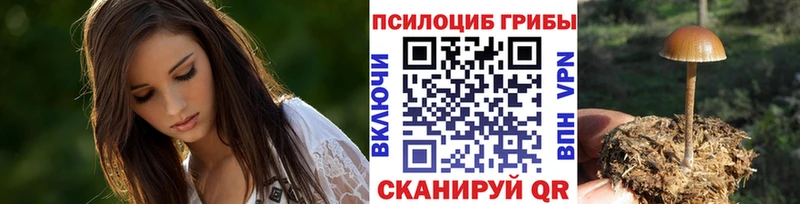 Купить где  Юрьев-Польский  Галлюциногенные грибы прущие грибы 